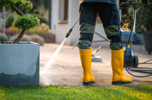 Best Pressure Washing Near Me  in Cathcart, WA